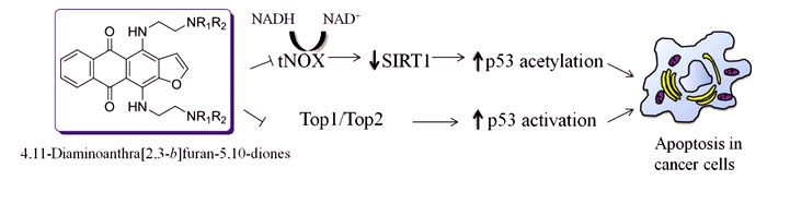 JMedChem